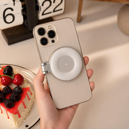 Multi-Use Magnetic Light
