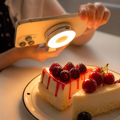 Multi-Use Magnetic Light
